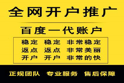 百度竞价广告在电商行业的实战应用案例
